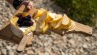Backcountry gourmet snack of brie cheese, apples, and huckleberry jam on Idaho hiking tour