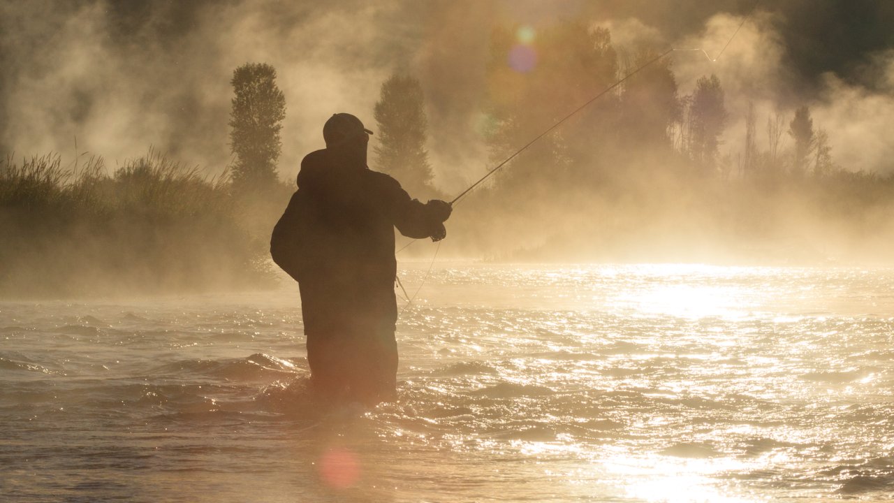 Foggy morning fly fishing
