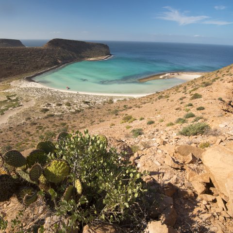 La Paz, Baja California Sur