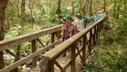 People walking over a suspension bridge in southern Oregon going over a Rogue River tributary