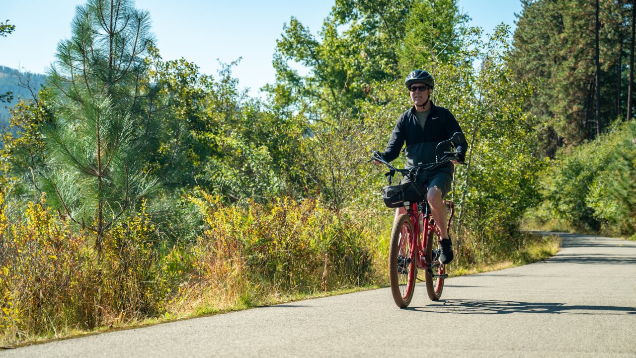 Biker on a paved trail surrounded by trees at golden hour