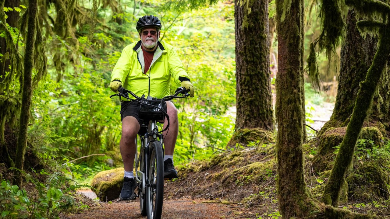 A man riding an e-bike on a forest trail surrounded by towering trees and lush greenery during a guided biking trip.