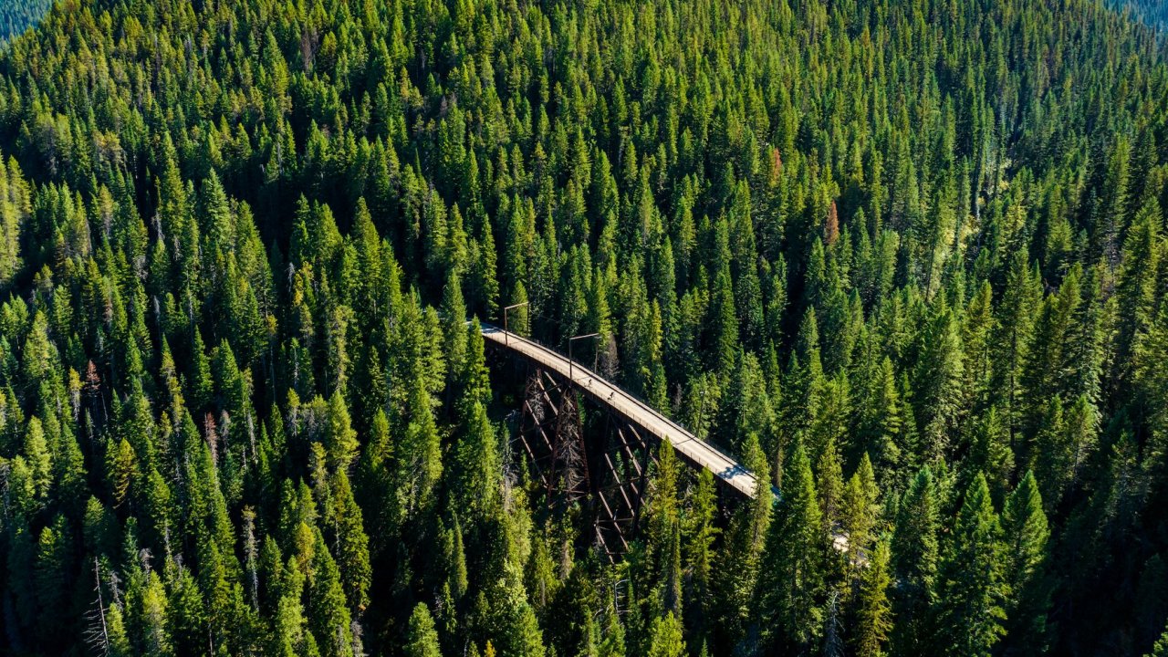 A long wooden trestle bridge cutting through dense pine forest on the Route of the Hiawatha trail in northern Idaho, with cyclists riding across it.