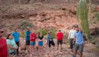 Guide explaining the anatomy of a cactus to a group of hikers in Baja, California