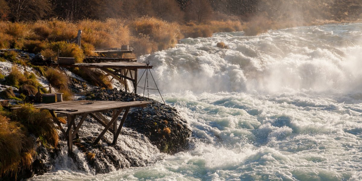 river rapids from the shore