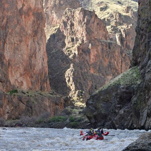 ROW Adventures rafts floating down the Owyhee River in Eastern Oregon