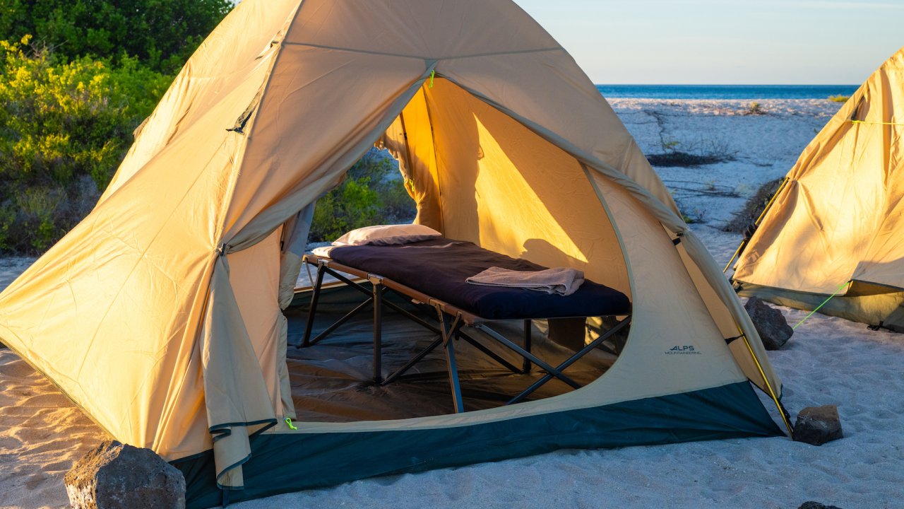 Inside view of a double tent with a cot set up inside