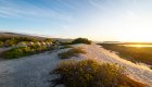 Panoramic view of an expansive beach on the Galapagos Islands with tents set up