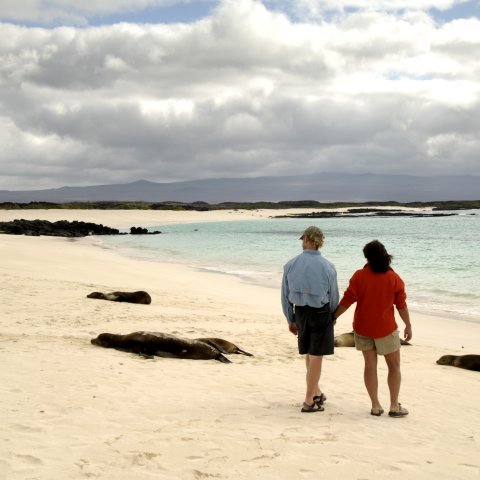 Galapagos sustainable travel tours