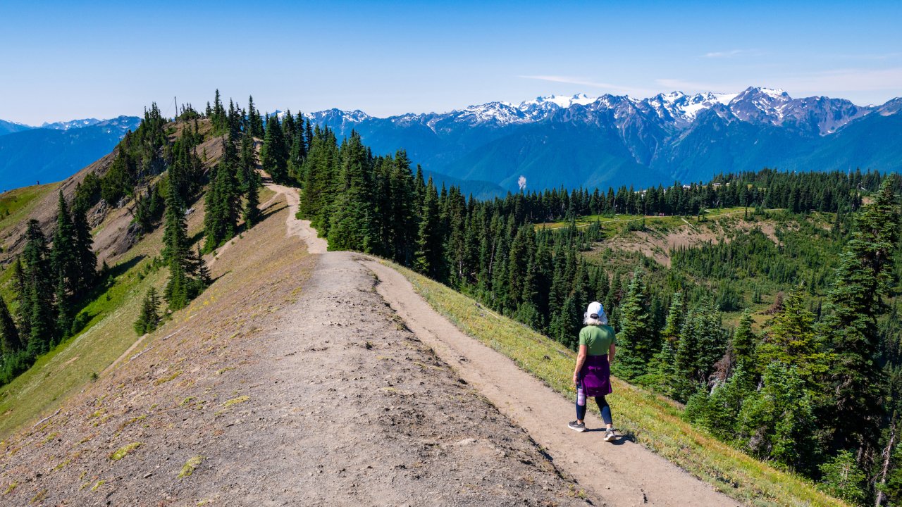 Solo hiker walking along a ridge trail in Olympic National Park