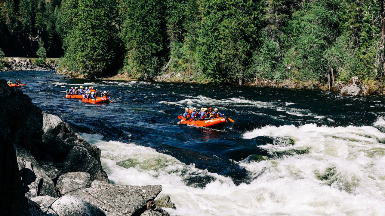 Whitewater rafting in the sun on the Lochsa River
