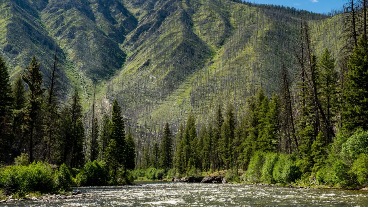 Rafters float by a regenerating mountainside, previously damaged by fire, along the Salmon River in Idaho. mountains along the salmon river in idaho