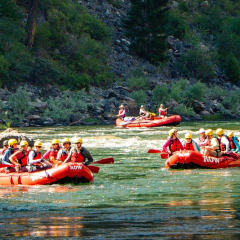 red whitewater rafts on green water