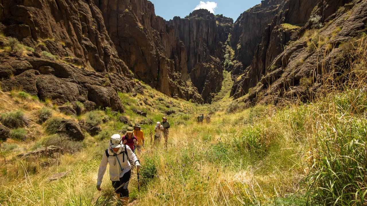 A group of people in a line hiking through a green field with towering canyon walls in Idaho