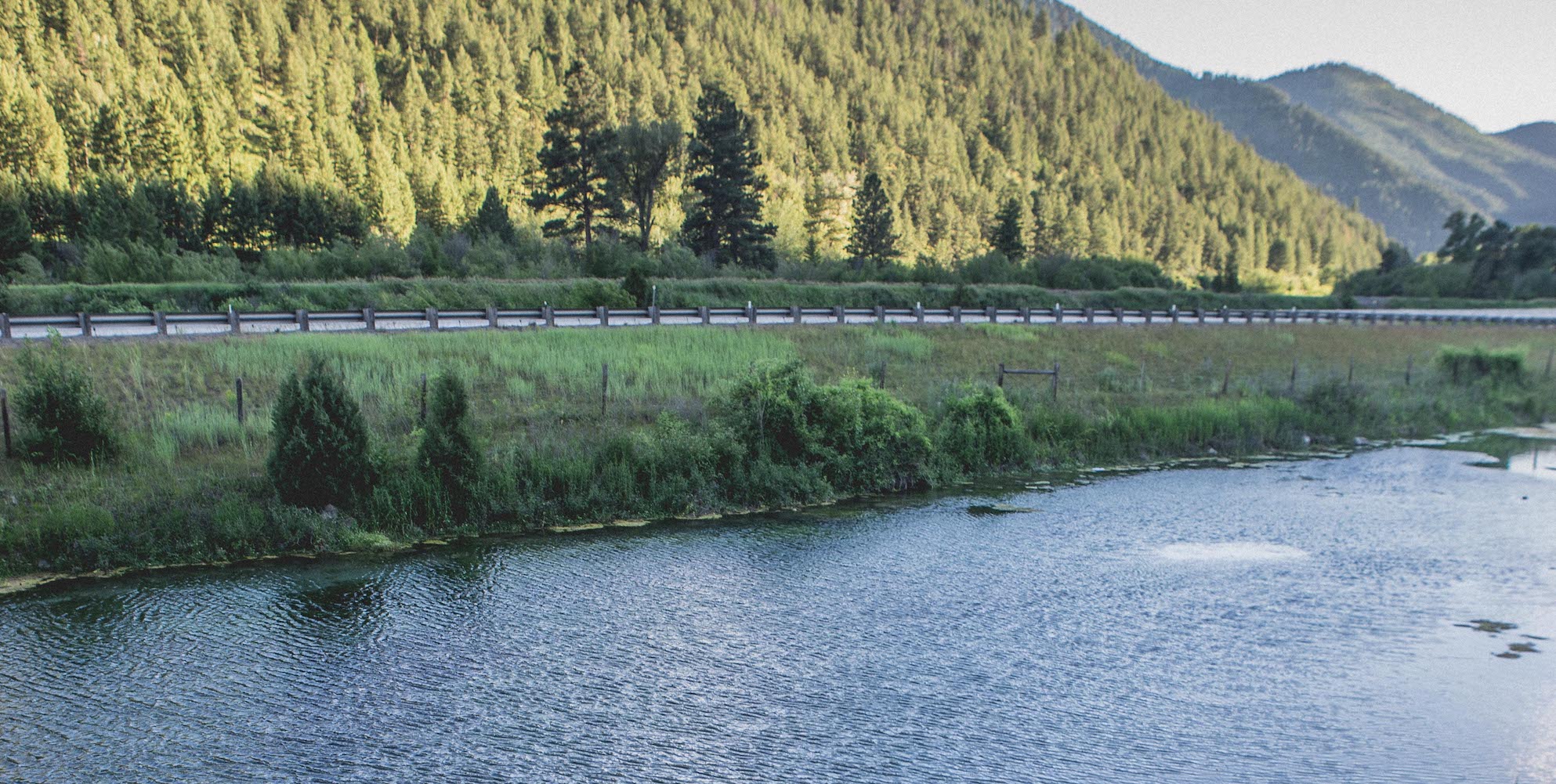 View of Nimrod warm springs with a road behind it and a hill full of trees