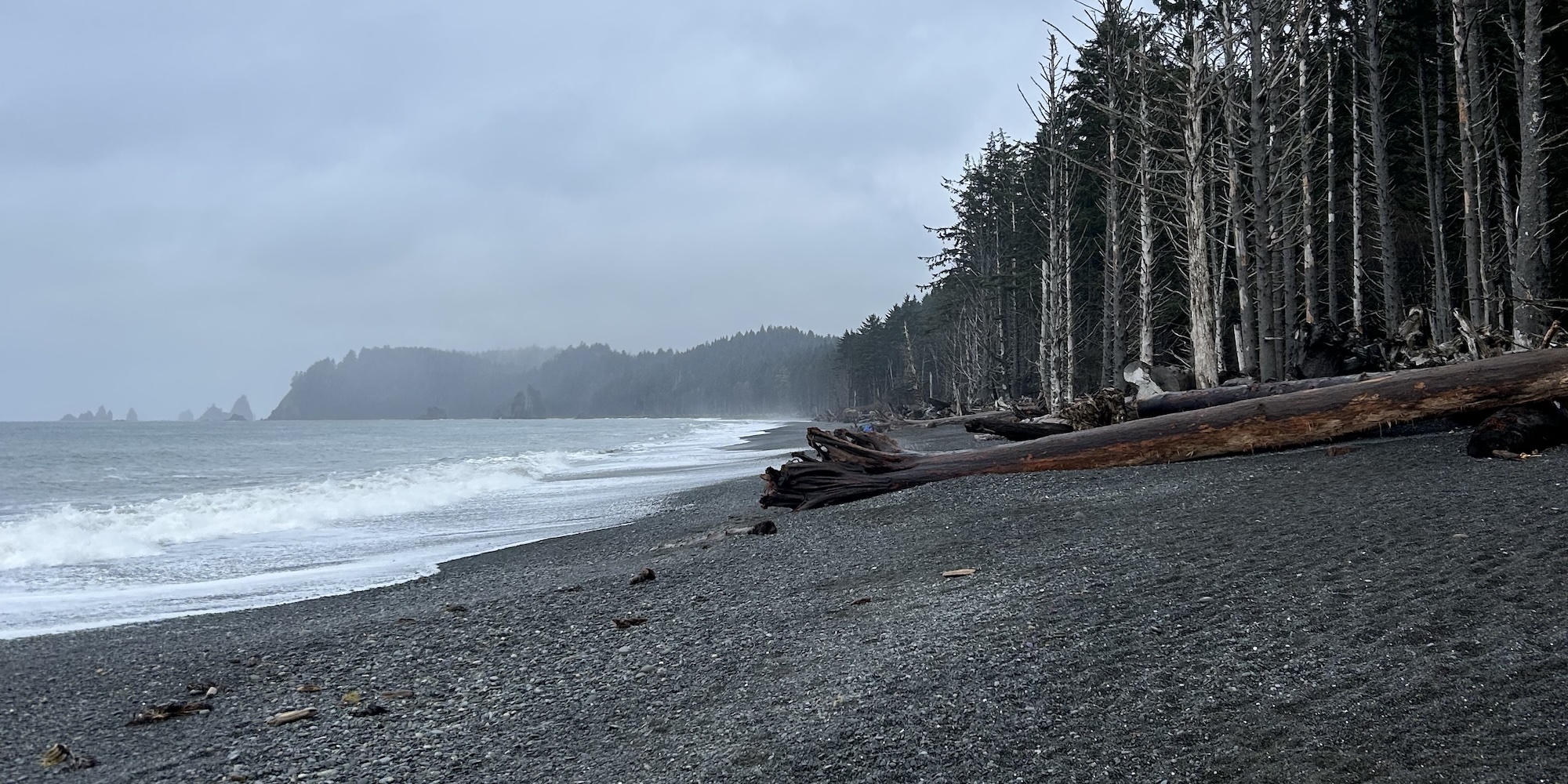 Misty morning view of Rialto Beach with driftwood logs, rocky shoreline, and sea stacks visible in the distance.