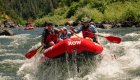 Group rafting through splashing rapids on the Rogue River in Oregon, highlighting the excitement and teamwork of guided Rogue River rafting trips.