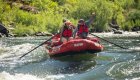 Group celebrating on a Rogue River rafting trip in Oregon, paddling through calm water surrounded by lush forest, perfect for rafting and camping adventures.