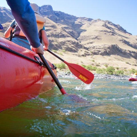Image from the surface of the water of red paddles off the side of a red raft