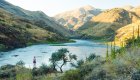 Person standing on a green mountainside admiring the downstream view of the Salmon River 