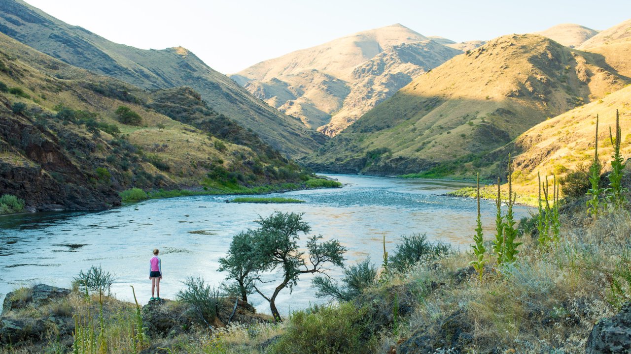 Person standing on a green mountainside admiring the downstream view of the Salmon River