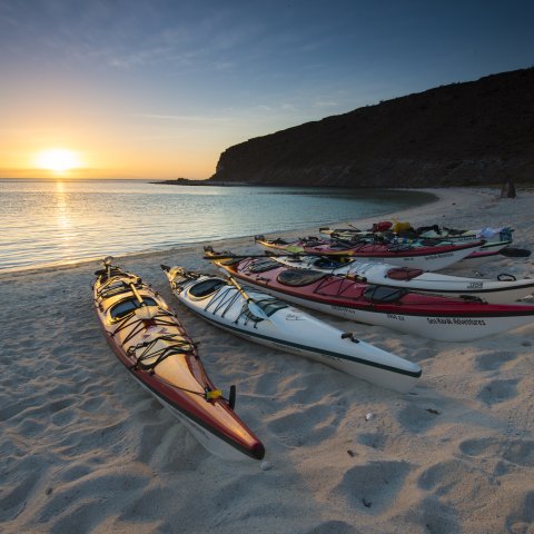 A row of sea kayaks lined up on a sandy beach in Baja California Sur