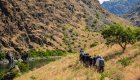 Group of hikers exploring the Snake River Canyon Trail in Idaho’s Hells Canyon, walking along the river with dramatic canyon cliffs in the background.