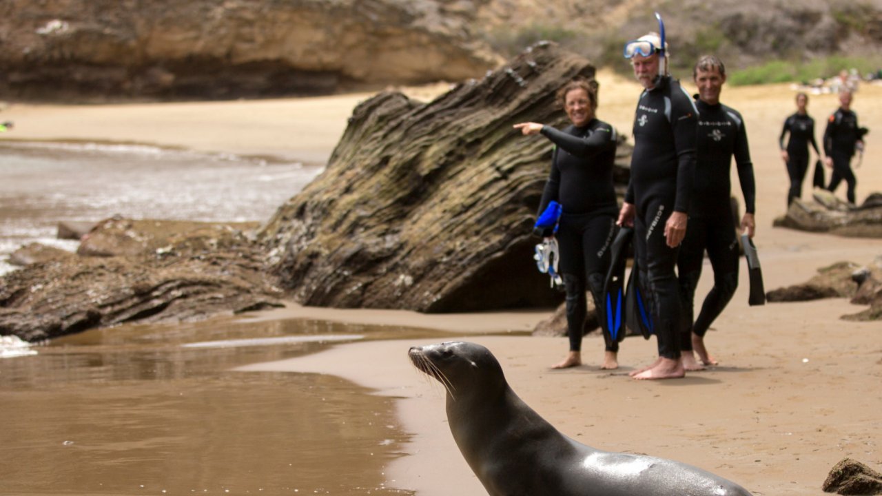 snorkeling from a beach in the Galapagos Islands