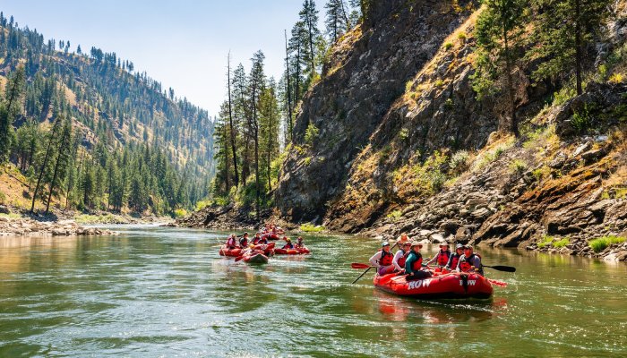 Group paddling red rafts down the scenic Main Salmon River surrounded by Idaho wilderness, enjoying a Salmon River rafting trip
