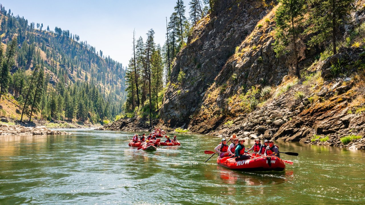 Group paddling red rafts down the scenic Main Salmon River surrounded by Idaho wilderness, enjoying a Salmon River rafting trip