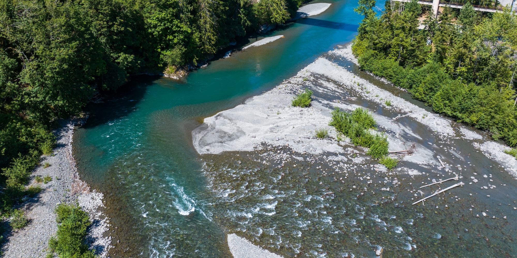 Arial view of the blue waters of the Elwha river surrounded by green trees and the rocky shores.
