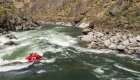 Downstream view of rafters paddling through a rapid on the Lower Salmon River