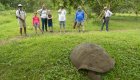 A family looking at a Giant Galapagos Land Tortoise with a guide in the Galapagos Islands