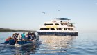 Galapagos cruise tours